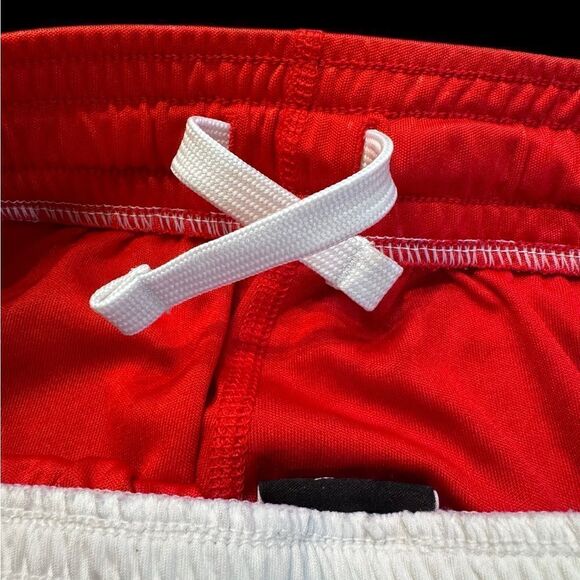 Nike Ohio State Running Shorts (Small) - Picture 4 of 7